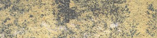 Fossel Sandstone
