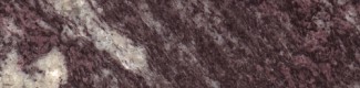 Tempest Black